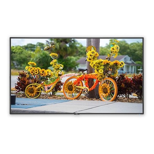 NEC 55" C Series L Large Format Display Edge LED (C551)