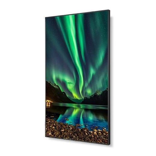 NEC 98" C Series Large Format Display UHD LED (C981Q)