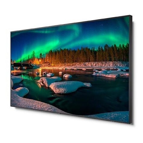NEC 98" C Series Large Format Display UHD LED (C981Q)