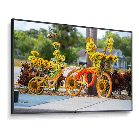 NEC 55" C Series L Large Format Display Edge LED (C551)