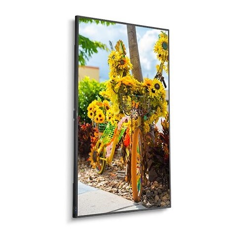 NEC 55" C Series L Large Format Display Edge LED (C551)