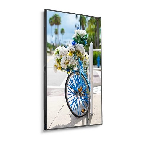 NEC 43" C Series Large Format Display Edge LED (C431)