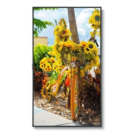 NEC 55" C Series L Large Format Display Edge LED (C551)